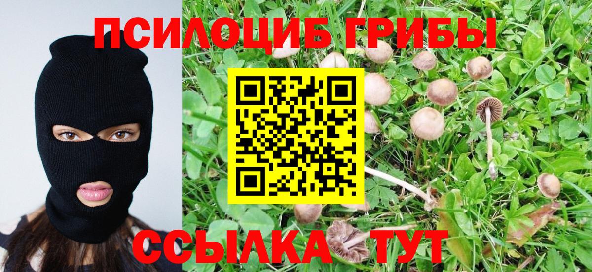 Галлюциногенные грибы MAGIC MUSHROOMS  Вход с VPN  Шадринск 