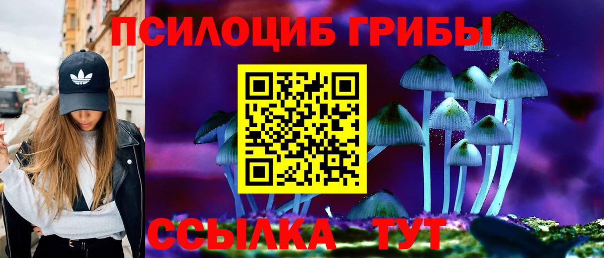 Галлюциногенные грибы Psilocybine cubensis Шадринск